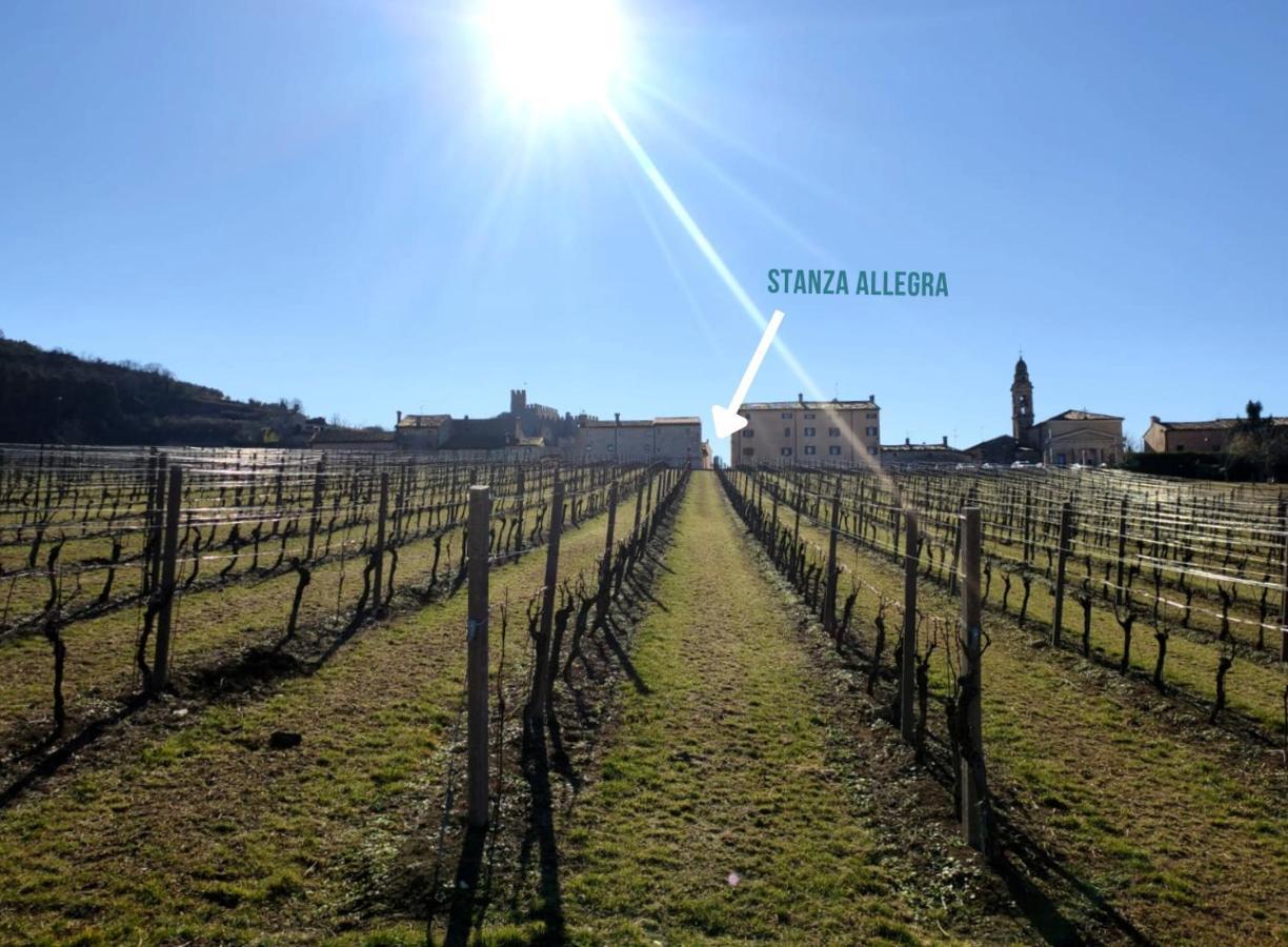 Stanza Allegra Soave Soave (Verona) Exterior foto